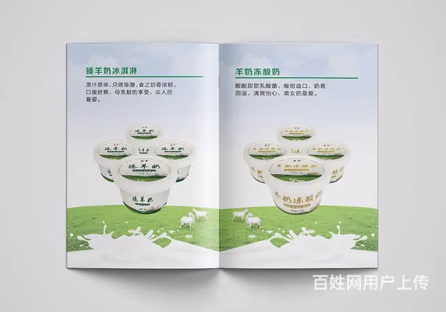 企业平台招商手册设计，精品画册设计制作 - 图片 10