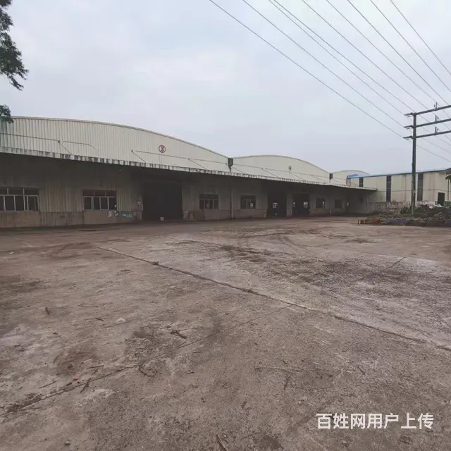 仙村厂房仓库出租出租 - 图片 5