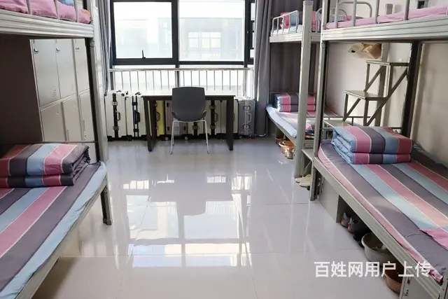 新乡拓晋电脑平面设计培训班，线下教学 - 图片 3