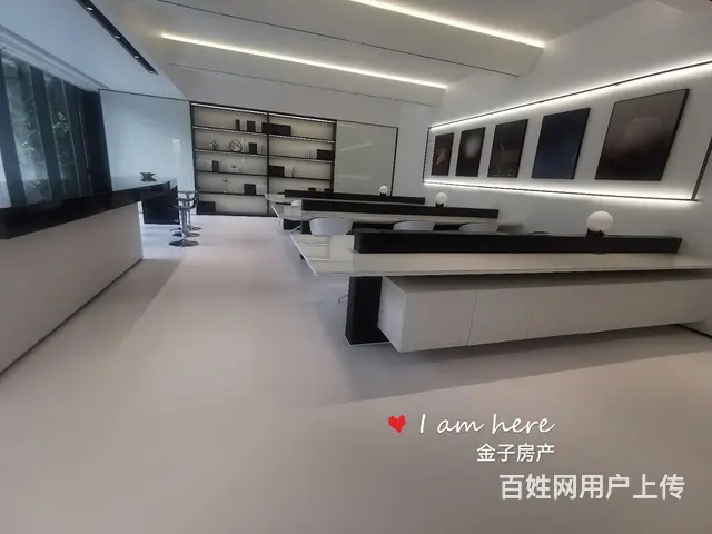 西溪印独栋商墅上下5层1500方精装现房通燃气 送花园地下室 - 图片 9