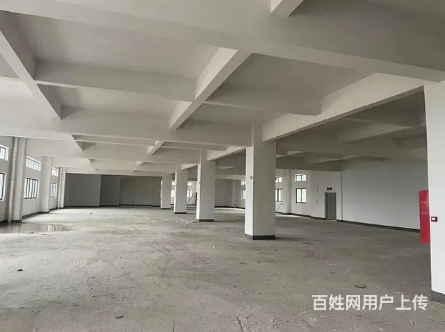 国有红本小独院厂房出售，台湾人年纪大退休回台 - 图片 10