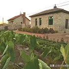 两栋罕见的【央产】老建筑，直售；转让