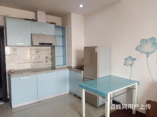 东方明珠铂金特区 酒店公寓1厅 精装修的图片