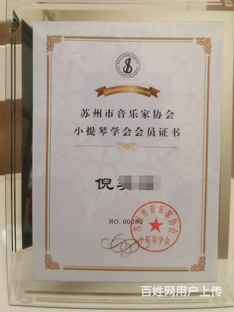 小提琴倪老师招生 - 图片 7