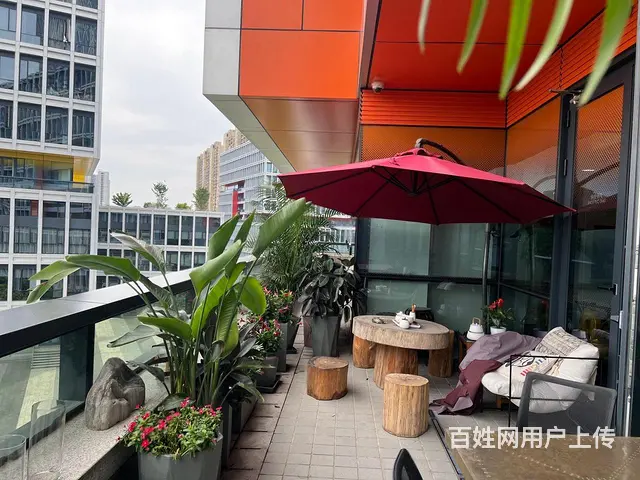 阿里园区 直播基地 精装带家具 环境优好招人近云狐 可补贴 - 图片 3
