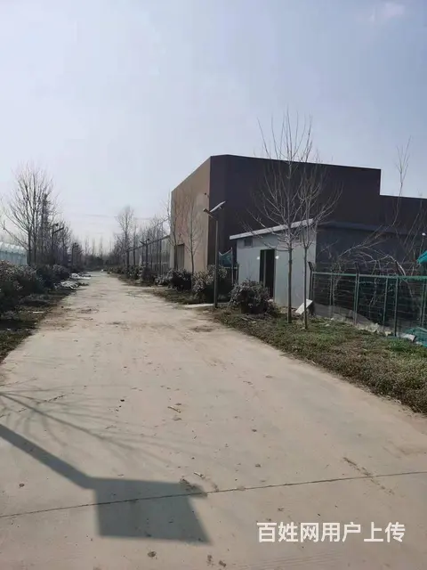 张集邓楼厂房仓库出租 - 图片 2
