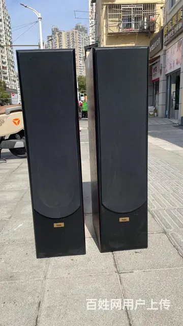 丹麦原装进口至尊XL170三分频双6.5寸发烧音箱 - 图片 9