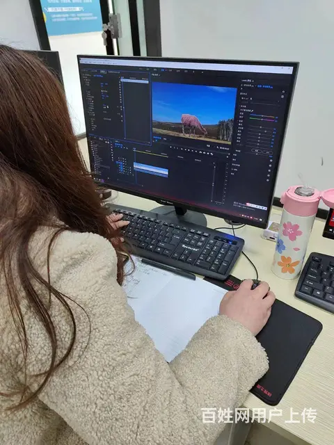 小自考应该如何选择学校和专业？有没有推荐的春华教育 - 图片 5