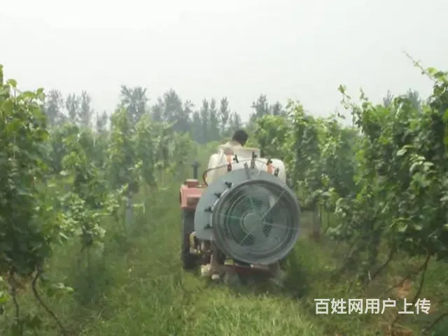 周口3MZ-500果园弥雾机 降尘杀菌消毒机wzj - 图片 3