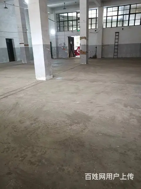 （个人）天心区市中心1000+平米仓库出租可分租编号1007 - 图片 2