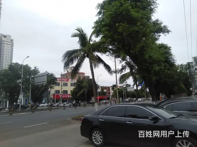 （51旺铺推荐）新大洲大道25平临街甲子粉店转让 - 图片 3