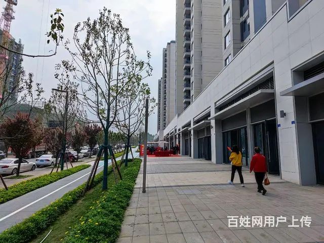 龙光底商，全业态 - 图片 1