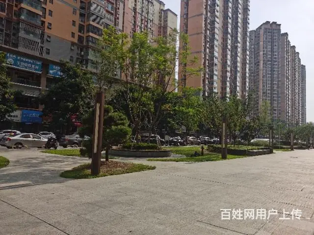 旺铺居）高端消费中心宠物老店转让 - 图片 6