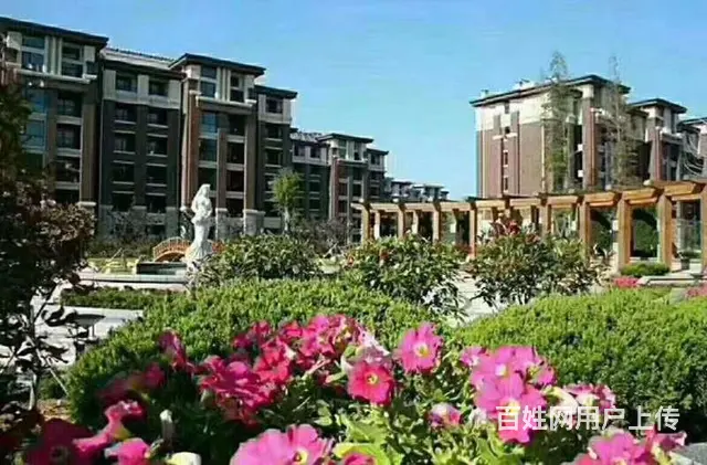 威海石岛凤凰湖，与恒大为邻的一线海景房赶海拾贝度假 - 图片 9