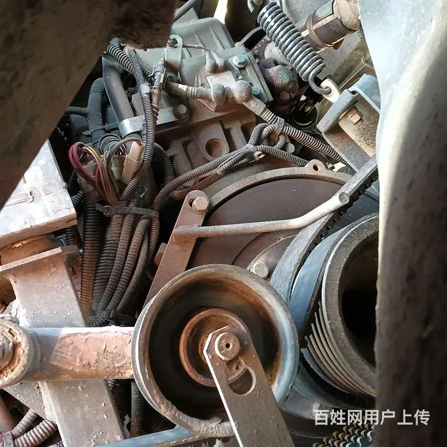 沃德小红帽 - 图片 8