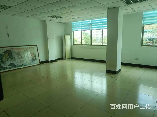 （51旺铺推荐）琼山区新大洲大道680平整栋招租 - 图片 5