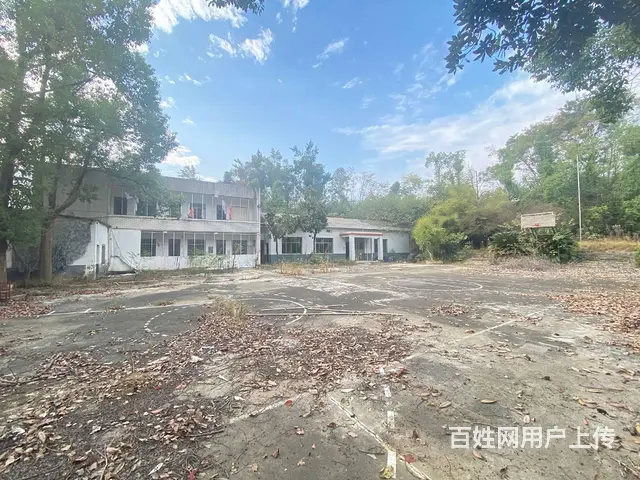 (房东直租)白箬铺319国道占地6亩场地，学校，可随时改厂房 - 图片 4