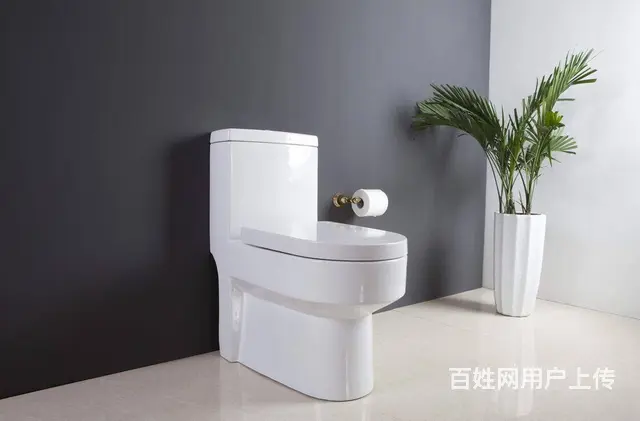 徐州马桶漏水维修_修理马桶漏水-技术好收费低 - 图片 10
