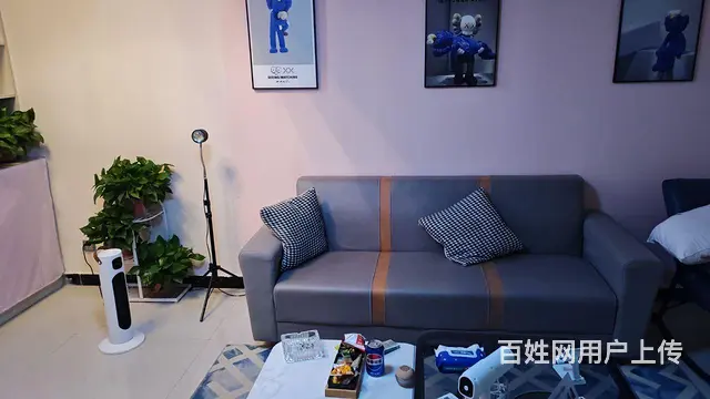 随时看房 - 图片 1