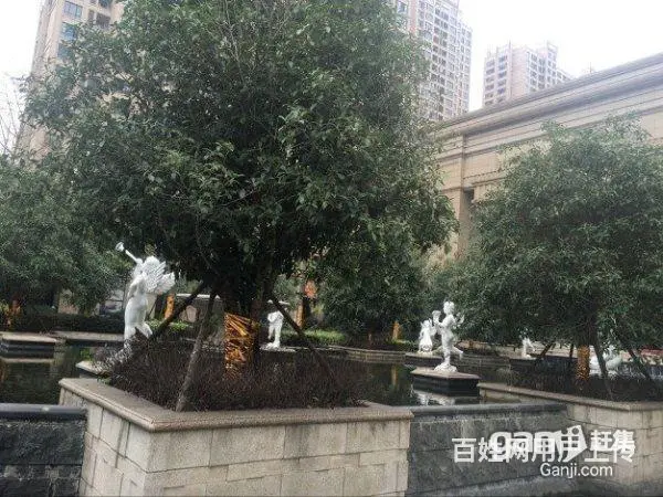 天河理想城 学区房 养老房 自住 可落户 交通方便 - 图片 5