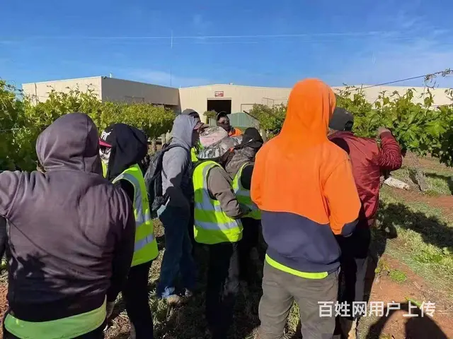 云南昭通包吃住招聘建筑工人工签出境年薪40万 - 图片 2