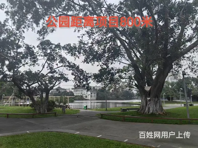 海口海府大院18800一平出售 - 图片 6