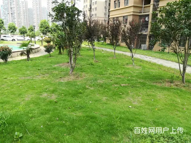 正岳家嘴口 山河大厦 蓝晶绿洲 华腾园 东沙花园 - 图片 12