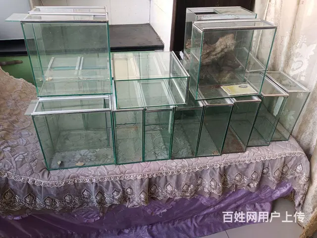 玻璃刚子 - 图片 1