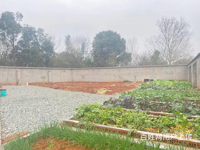 (房东直租)黄花互通280平仓库，750平场地，精装别墅出租 - 图片 6