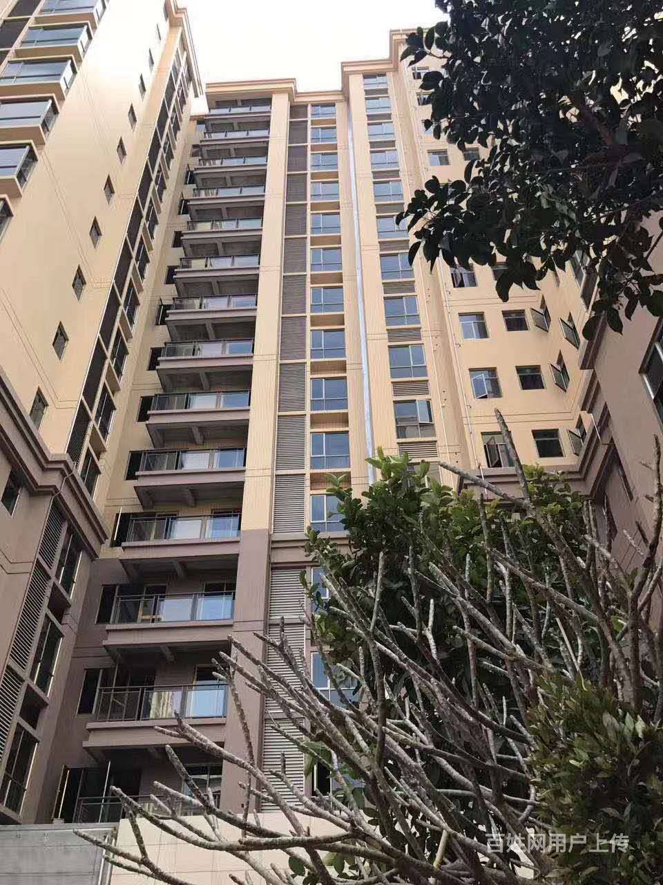 2020年大朗小产权 花园*【明珠花园】 4栋550套