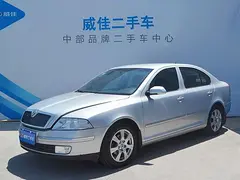 斯柯达明锐 2007款 1.6L 手动 逸仕版 (