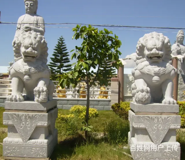 北京狮雕塑#石雕狮子#景观摆件 - 图片 1