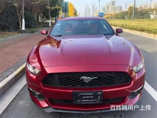 福特Mustang [野马] 2016款 2.3T 手自一体 - 图片 5