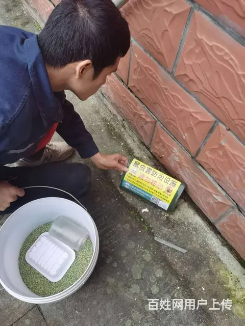 广汉白蚁防治公司，什邡白蚁防治公司，德阳杀白蚁公司 - 图片 4