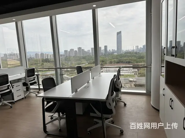四川区域协同发展(遂宁)总部基地 - 图片 6
