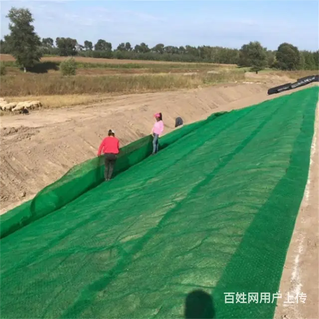 三维植被网 - 图片 6
