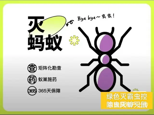 专业四害消杀除蟑螂除蚂蚁除老鼠除百虫 根除干净 - 图片 4