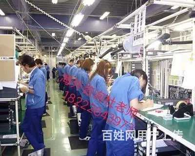 澳洲直招 （无费用）年薪60万华人雇主担保工签 - 图片 3