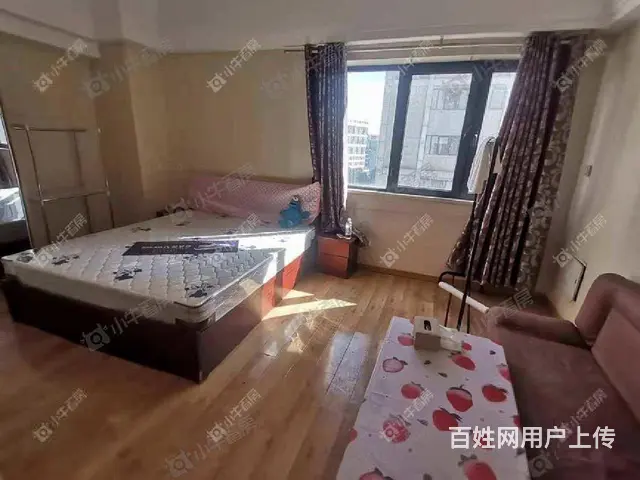 新北万达广场 押一付一 可短租 精装1室1厅 1900元 - 图片 1
