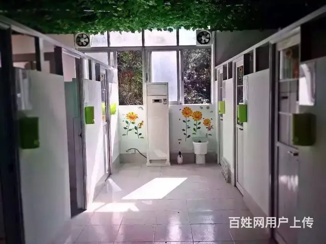 珠海横琴专业狗狗寄养酒店/珠海横琴专业训犬学校 - 图片 1