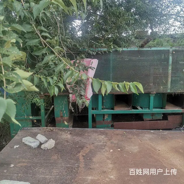 龙马花生摘果机三个风机的 - 图片 2