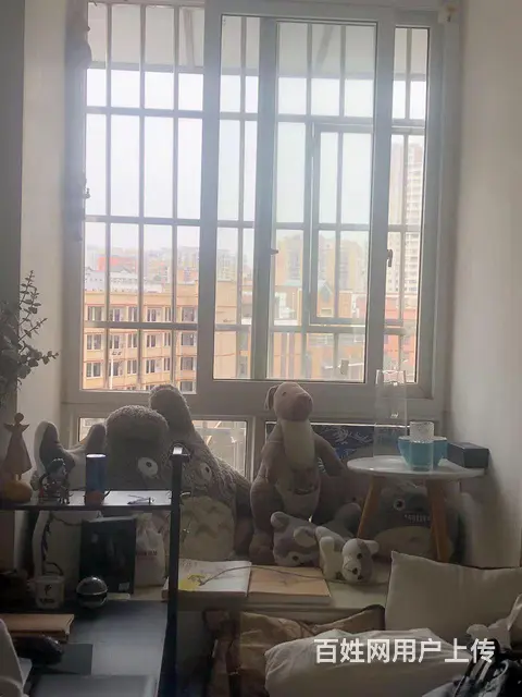 南溪新城区，紧埃古街，丽雅小学对面，环境优美 - 图片 8