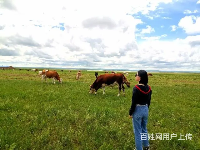呼伦贝尔旅游新巴尔虎左旗包车师傅排名常师傅好 - 图片 1