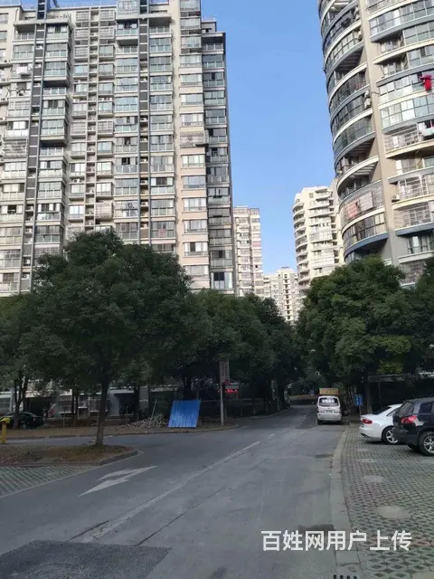 滨江明珠城，非底层，单价低，景观房，房东诚售，随时 - 图片 7