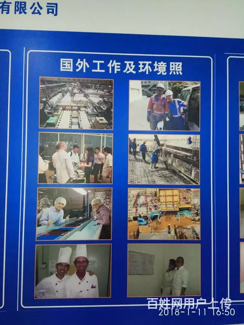 鹰潭海外岗位免费提供- 爱尔兰丹麦工厂- 司机 - 图片 1
