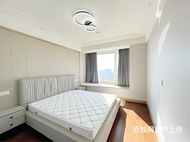 绿城新华园精装3房沈塘桥白马公寓武林壹号星河明苑武林广场 - 图片 2