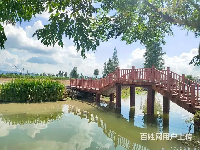 绍兴上虞防腐木塑木地板塑木护栏建造公司 - 图片 3