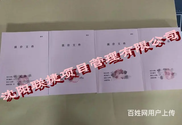 沈阳标书代理，丰富的标书经验，专注于各类标书制作。 - 图片 2