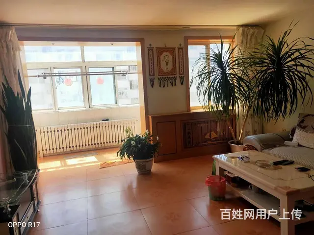 爱国 普通住宅 简单装修 - 图片 1