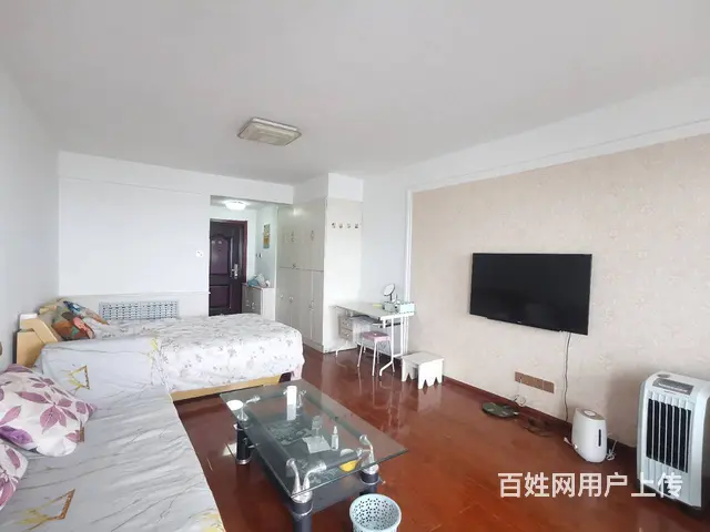 1+1公寓1厅 电梯精装1居 精装修 - 图片 5